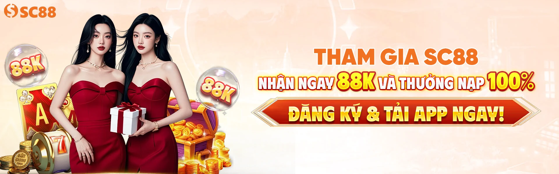 Banner SC88 2