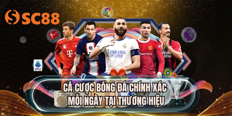 Cá cược bóng đá chính xác mỗi ngày tại thương hiệu